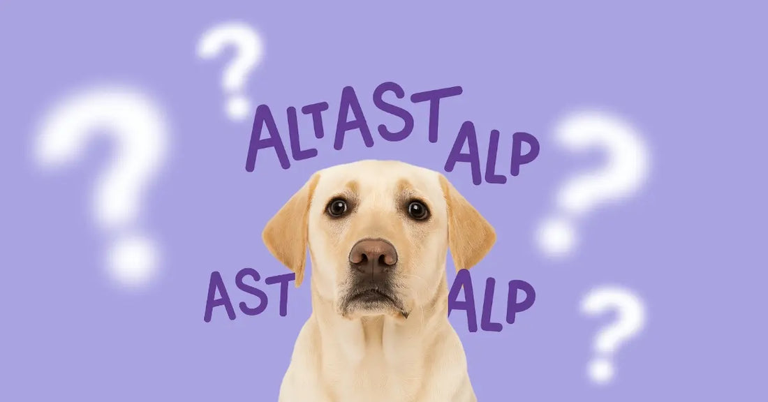 Valori ALT AST ALP nel cane