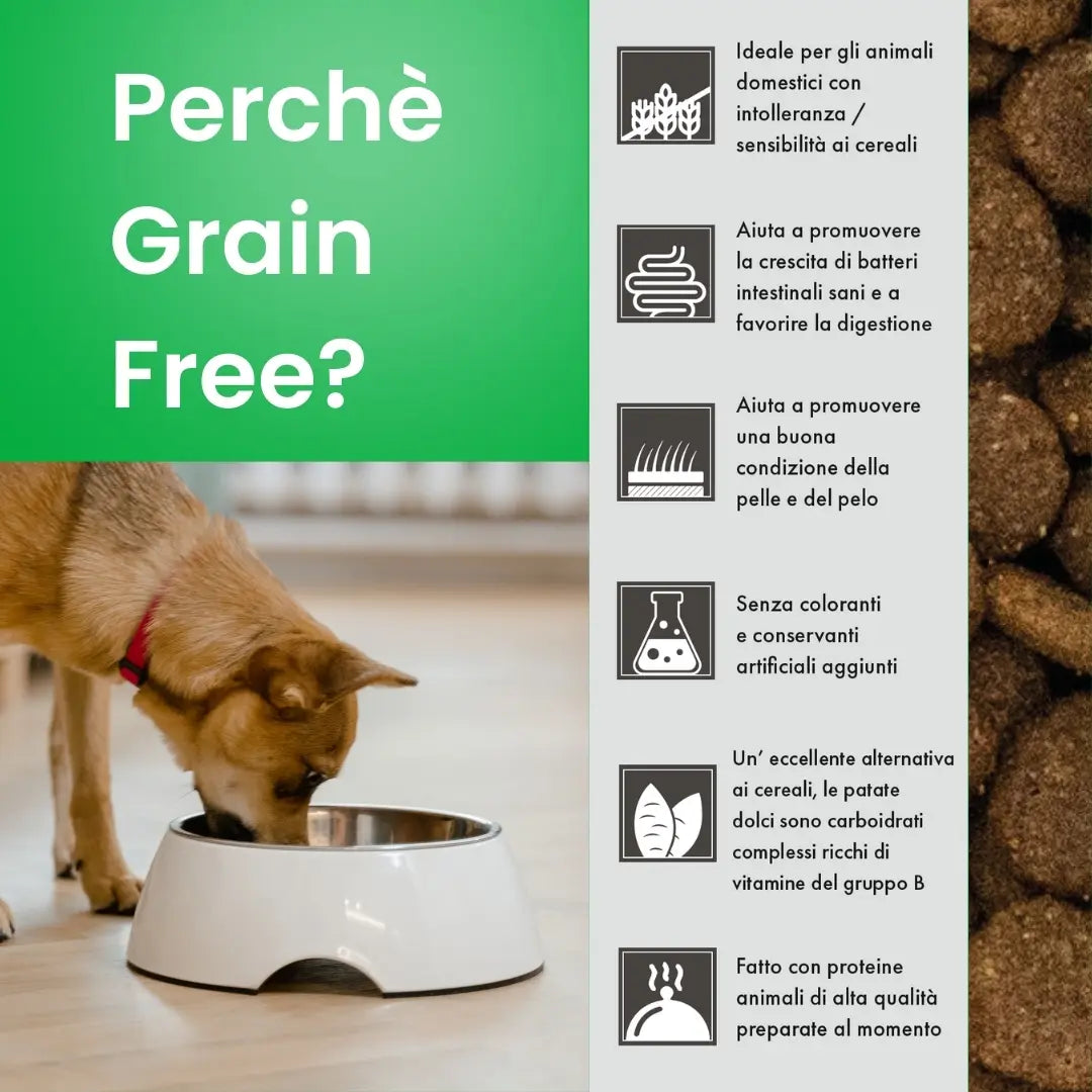 Linea Grain Free - Agnello con Patate Dolci e Menta - Cane Adulto