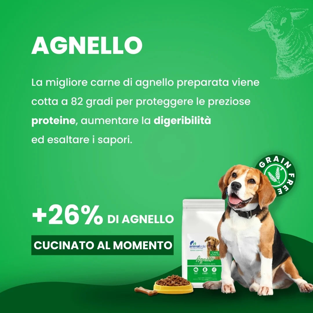 Cibo per cani intolleranti ai cereali - Agnello