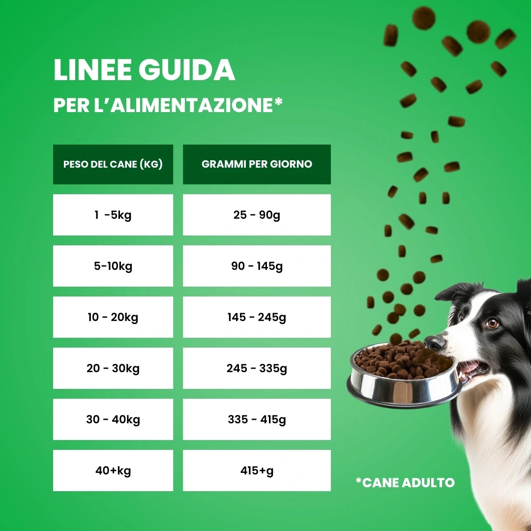 Linea Grain Free - Agnello con Patate Dolci e Menta - Cane Adulto