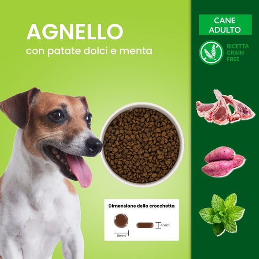 Crocchette per cani di piccola taglia - Agnello, Patate Dolci e Menta - Grain Free (senza cereali)