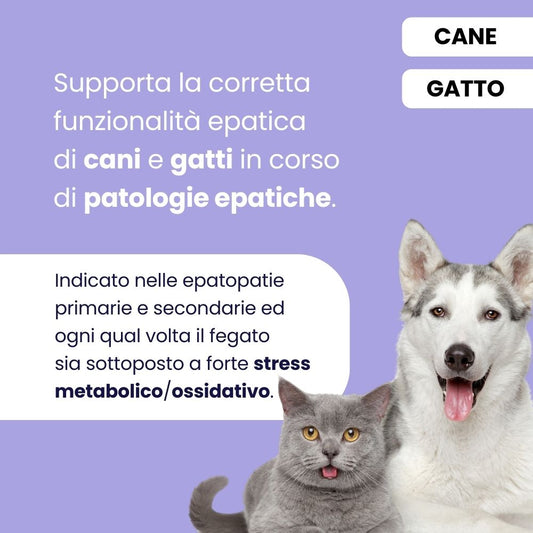 ProtectionEpato