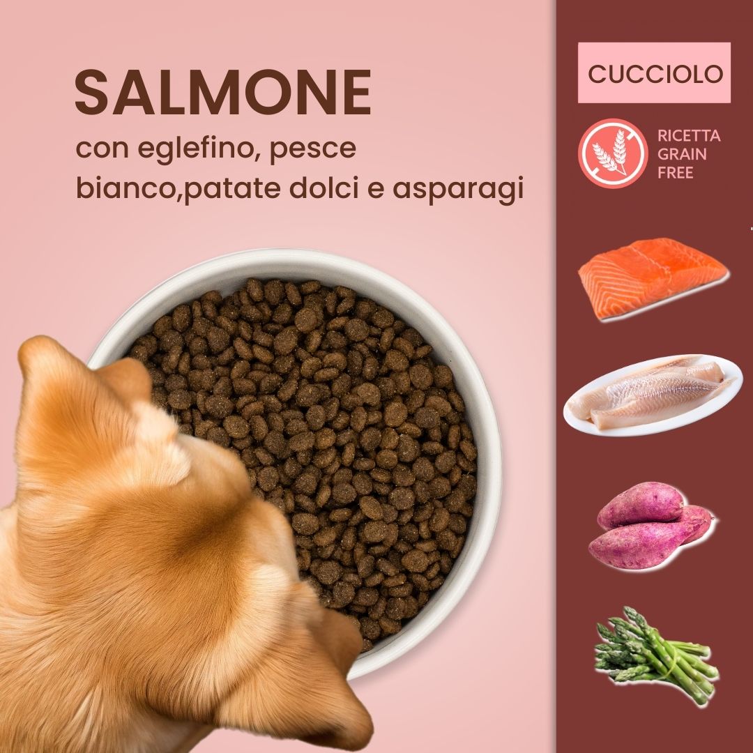 Crocchette per cani Cuccioli (Puppy) - Salmone con Eglefino, pesce Bianco Patate Dolci e Asparagi - Grain Free (senza cereali)