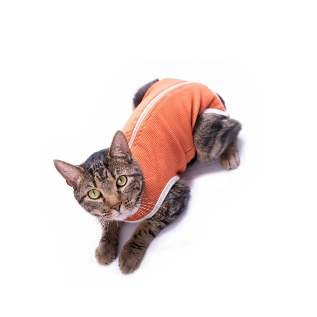 Body post-operazione gatto BodyCobre Animalside