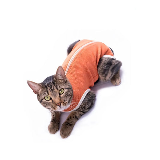 Body post-operazione gatto BodyCobre Animalside