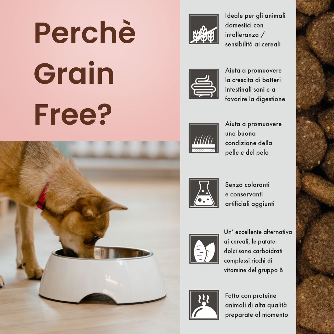Crocchette per cani Cuccioli (Puppy) - Salmone con Eglefino, pesce Bianco Patate Dolci e Asparagi - Grain Free (senza cereali)