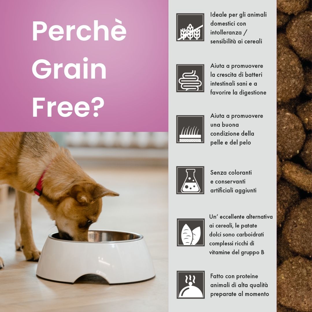 Crocchette per cani Cuccioli (Puppy) Piccola Taglia - Tacchino con Anatra - Grain Free (senza cereali)