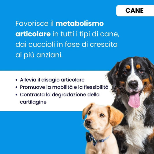 Integratore articolazioni cane. Cane sportivo, cucciolo, cane anziano.