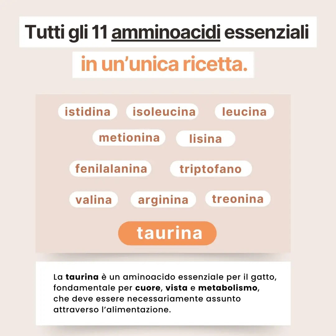 11 aminoacidi essenziali per cani e gatti, inclusa taurina per cuore, vista e metabolismo