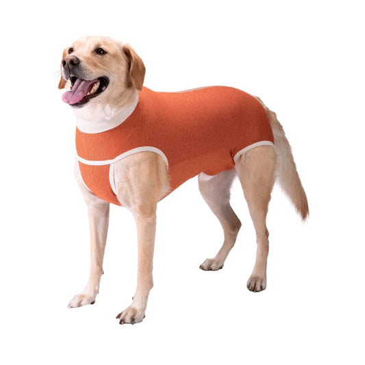 Body indumento castrazione cane maschio