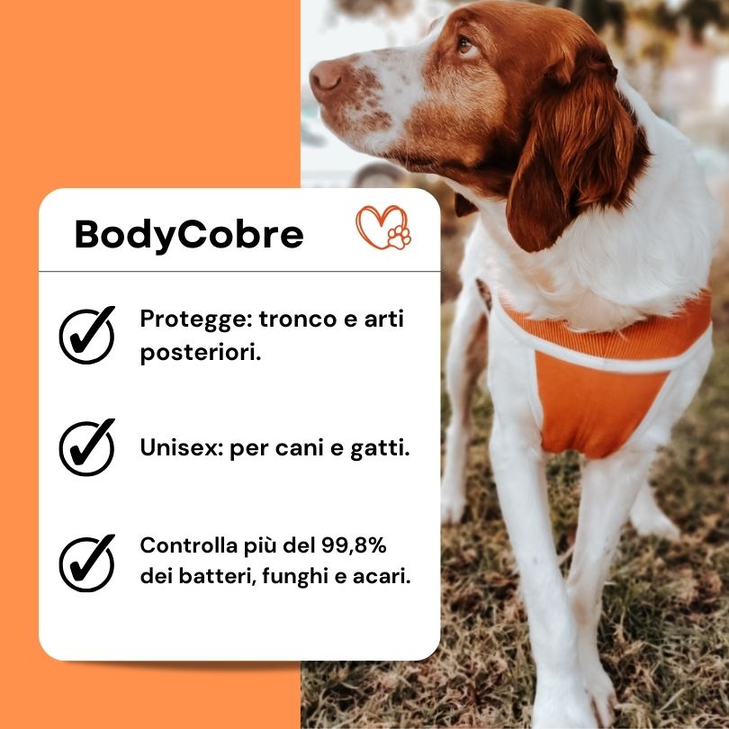 Body post-operatorio