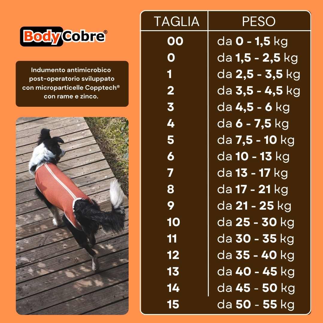 Tabella taglie body cane bodycobre