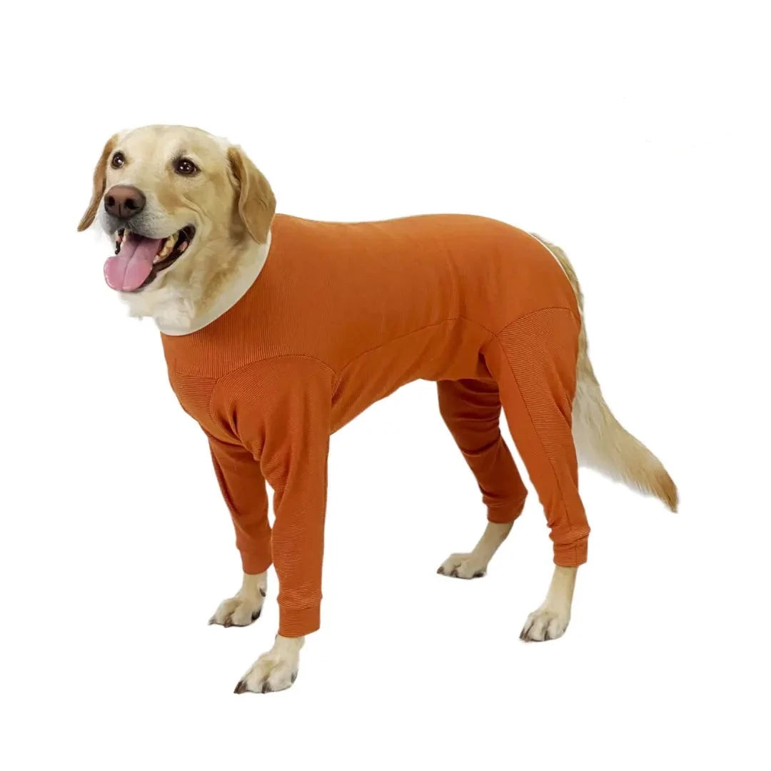 Body cane completo copertura zampe interventi chirurgici e dermatite