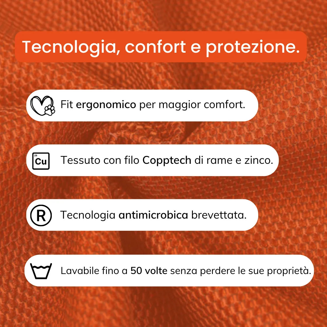 Body Completo dermatite