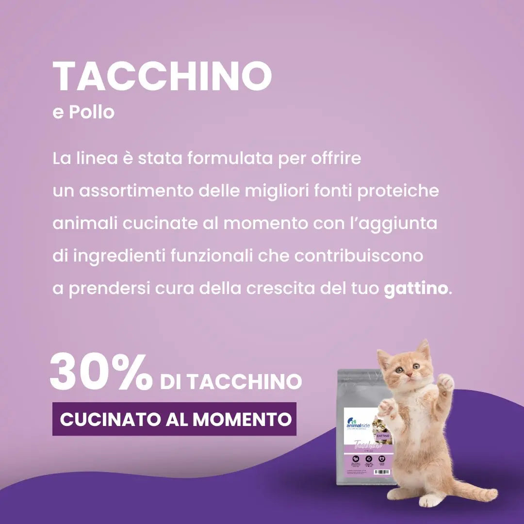 Crocchette per gattini al tacchino