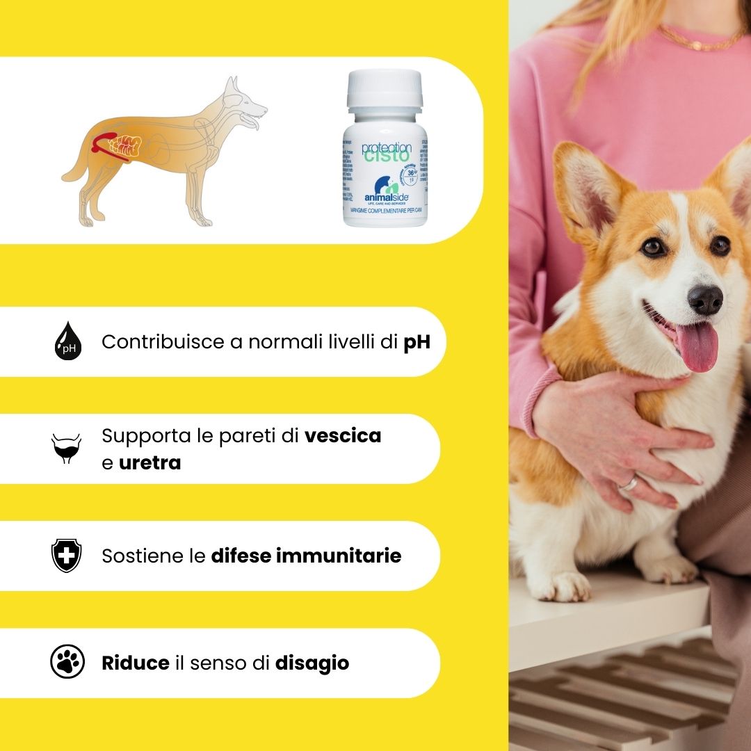 ProtectionCisto