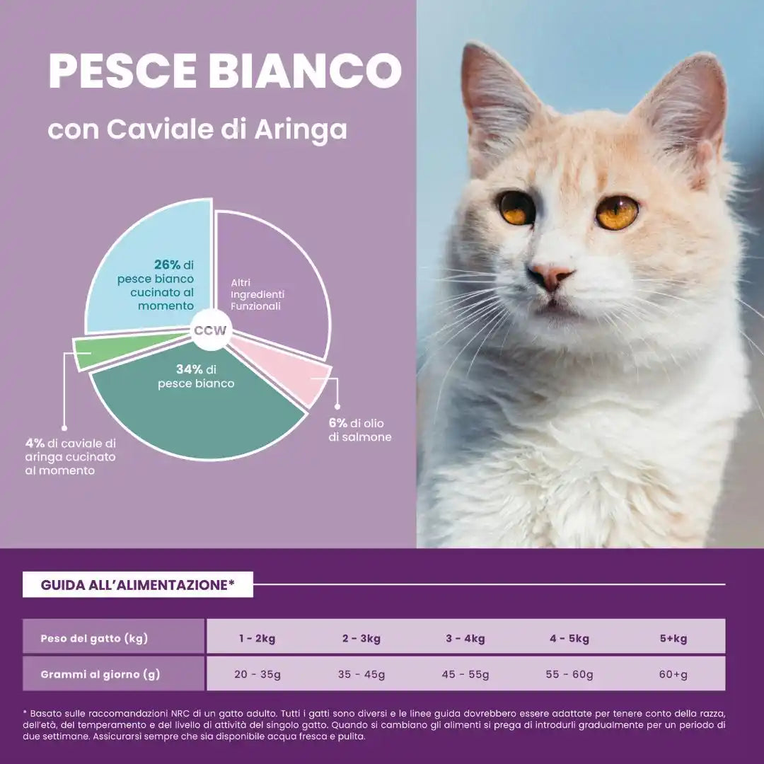 tabella ingredienti crocchette gatti sterilizzati