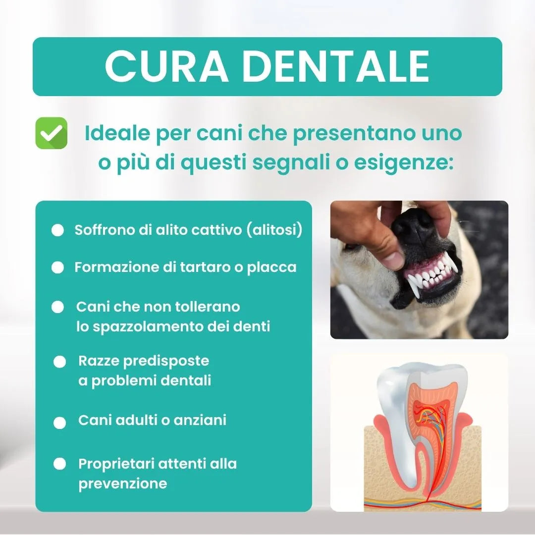 Cibo per cani per prevenire il tartaro senza spazzolino