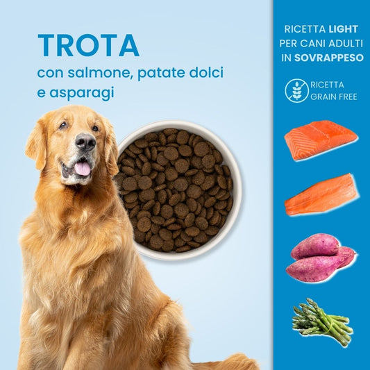 Crocchette per cani obesi - Ricetta Light - Trota con Salmone,Patate Dolci e Asparagi - Grain Free (senza cereali)