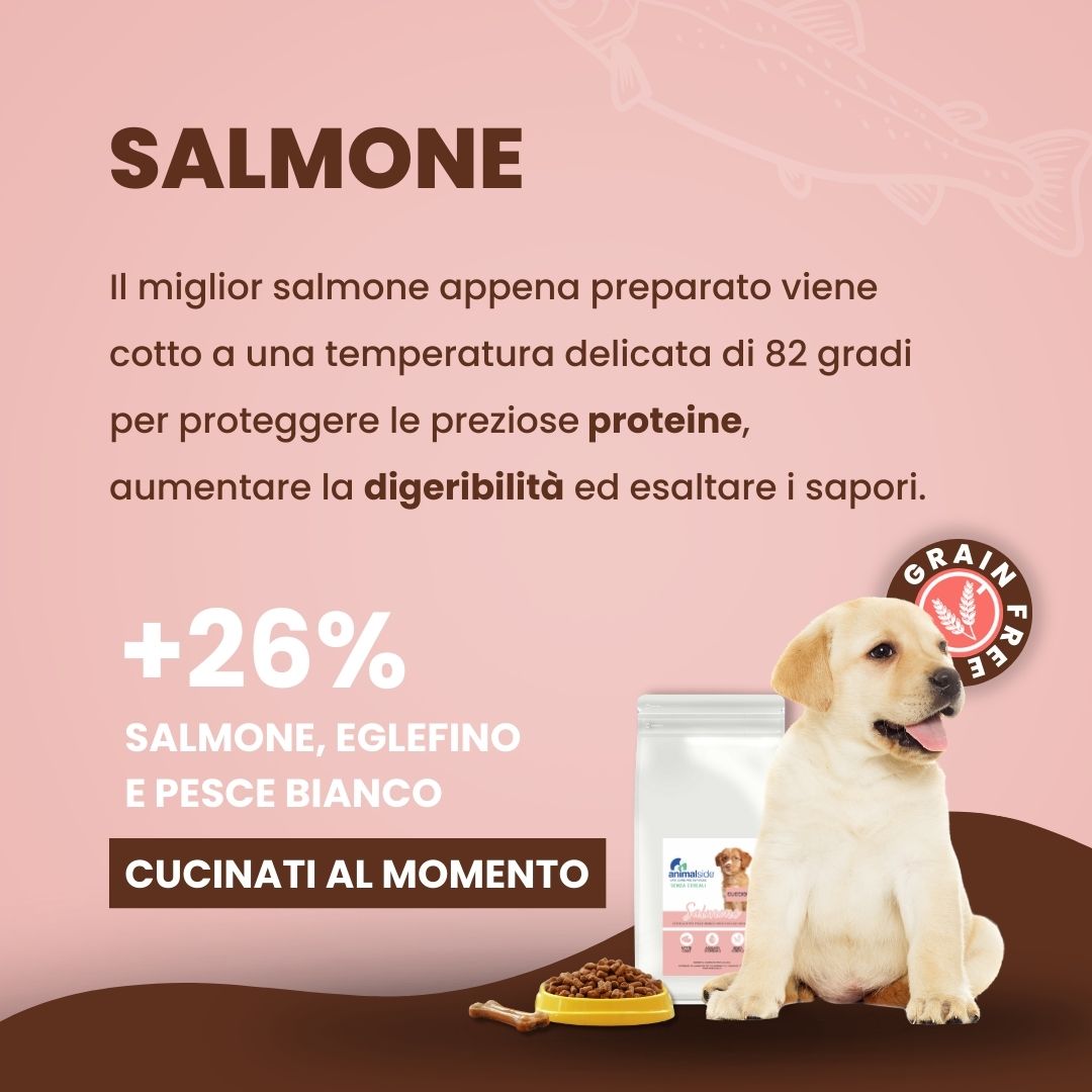 Crocchette per cani Cuccioli (Puppy) - Salmone con Eglefino, pesce Bianco Patate Dolci e Asparagi - Grain Free (senza cereali)