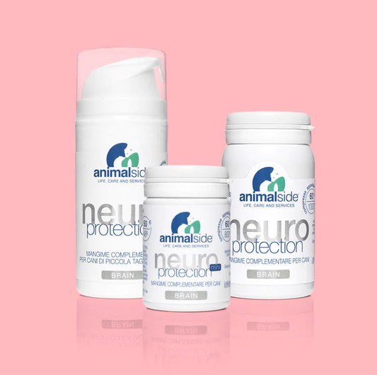 NeuroProtection CERVELLO CANE e GATTO: supportare il normale funzionamento cerebrale, decadimento cognitivo