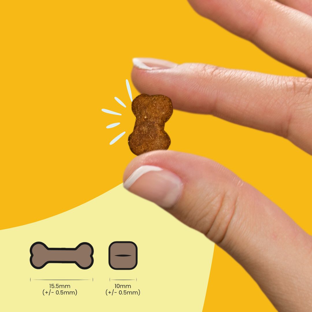 Rimedi naturali per la pelle secca e forfora nei cani e gatti, snack per un manto lucido e sano.