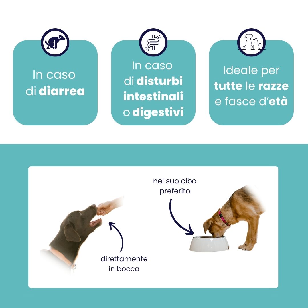 Soluzione rapida diarrea nel cane.
Somministrazione ProtectionGastro
