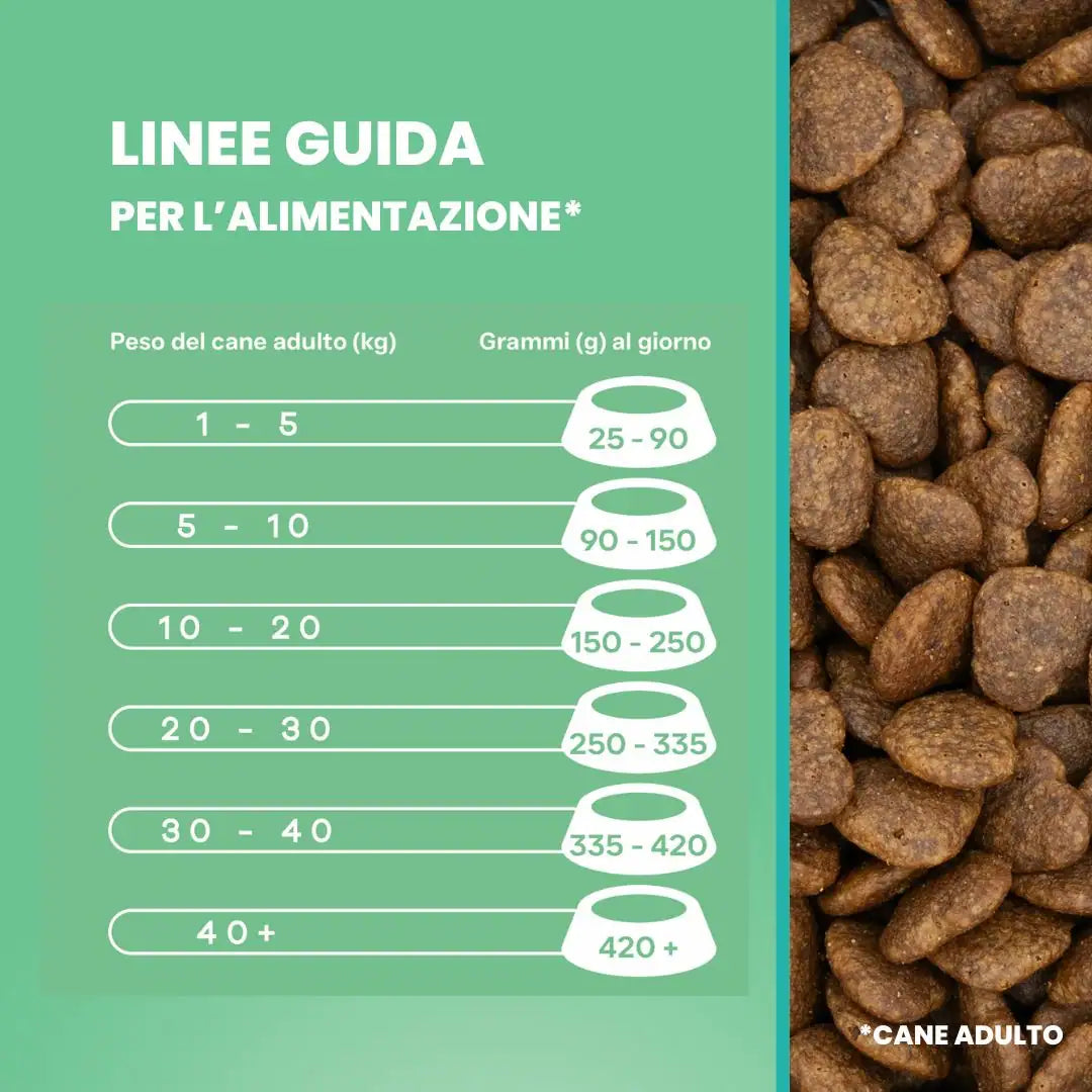 Croccantini con ingredienti funzionali per salute orale secondo veterinari