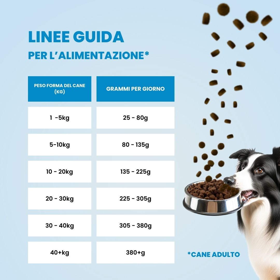 Tabella alimentazione cane in sovrappeso