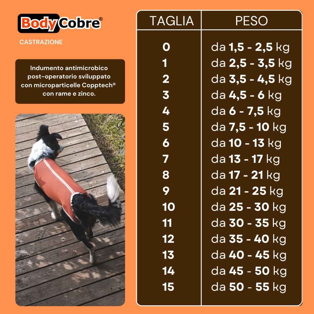 Taglie tutina post operatoria per castrazione cane