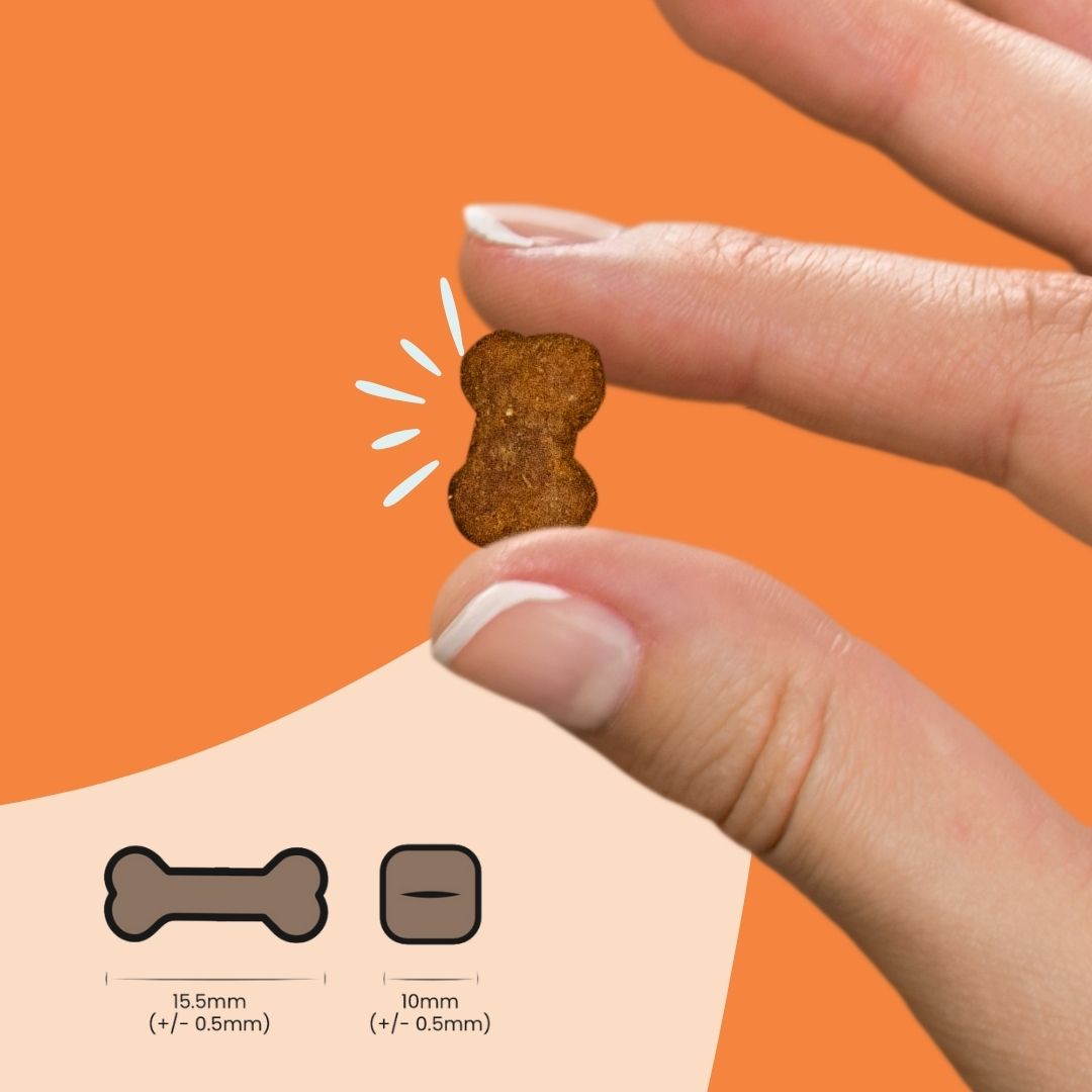 Migliora la digestione del tuo cane o gatto con uno snack a base di probiotici, perfetto per animali con sensibilità intestinale.