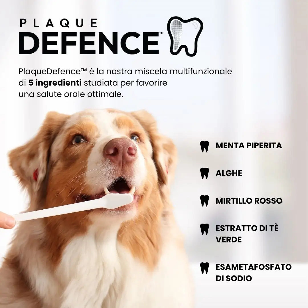 Crocchette Cura Dentale al Tacchino - Cane Adulto - Proteine idrolizzate - Grain Free