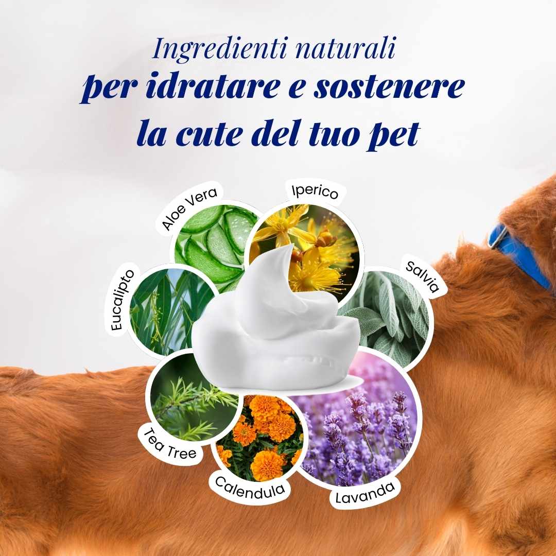 CareFoam schiuma igienizzante. La combinazione di clorexidina, aloe vera, tea tree, lavanda, eucalipto e altri estratti botanici fornisce una protezione completa per la cute del cane, rendendola adatta a trattare una vasta gamma di condizioni dermatologiche.