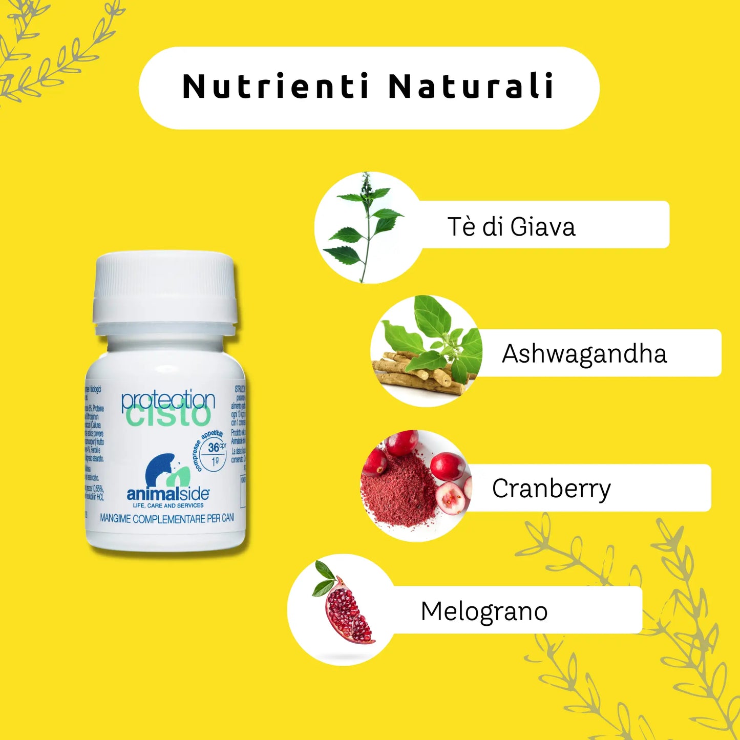 Nutrienti naturali Protection Cisto cistite cane vie urinarie