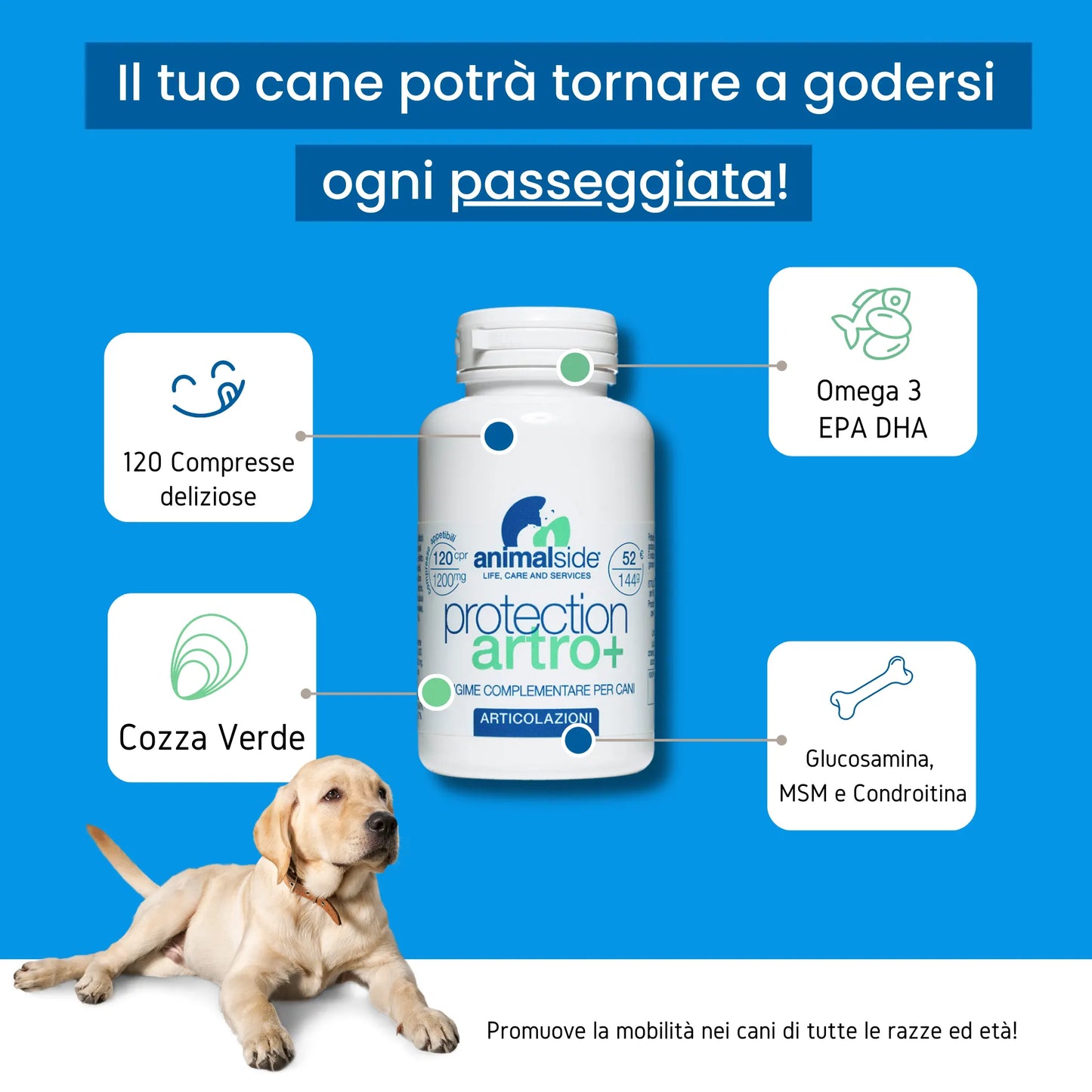 Protection Artro+ antinfiammatorio per cani articolazioni con ingredienti naturali