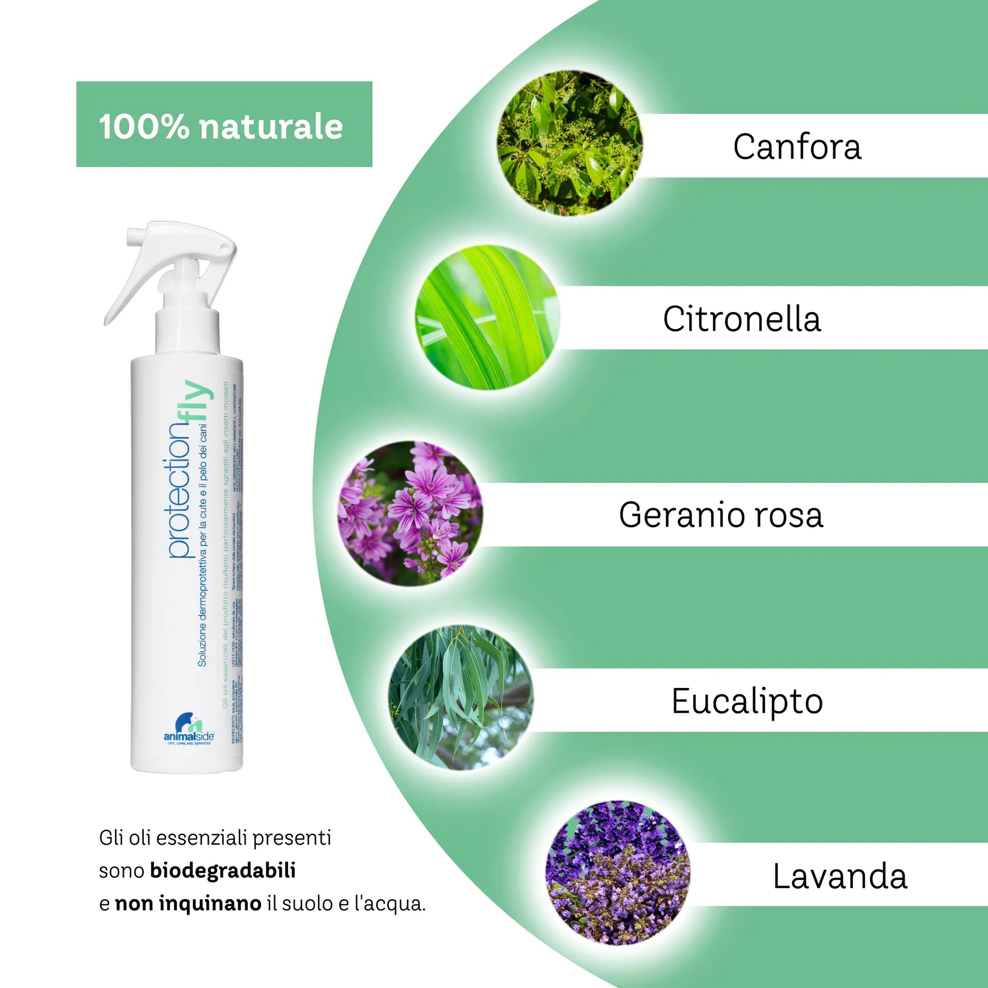 Oli essenziali ingredienti Protection Fly naturale insetti pungitori cani e gatti