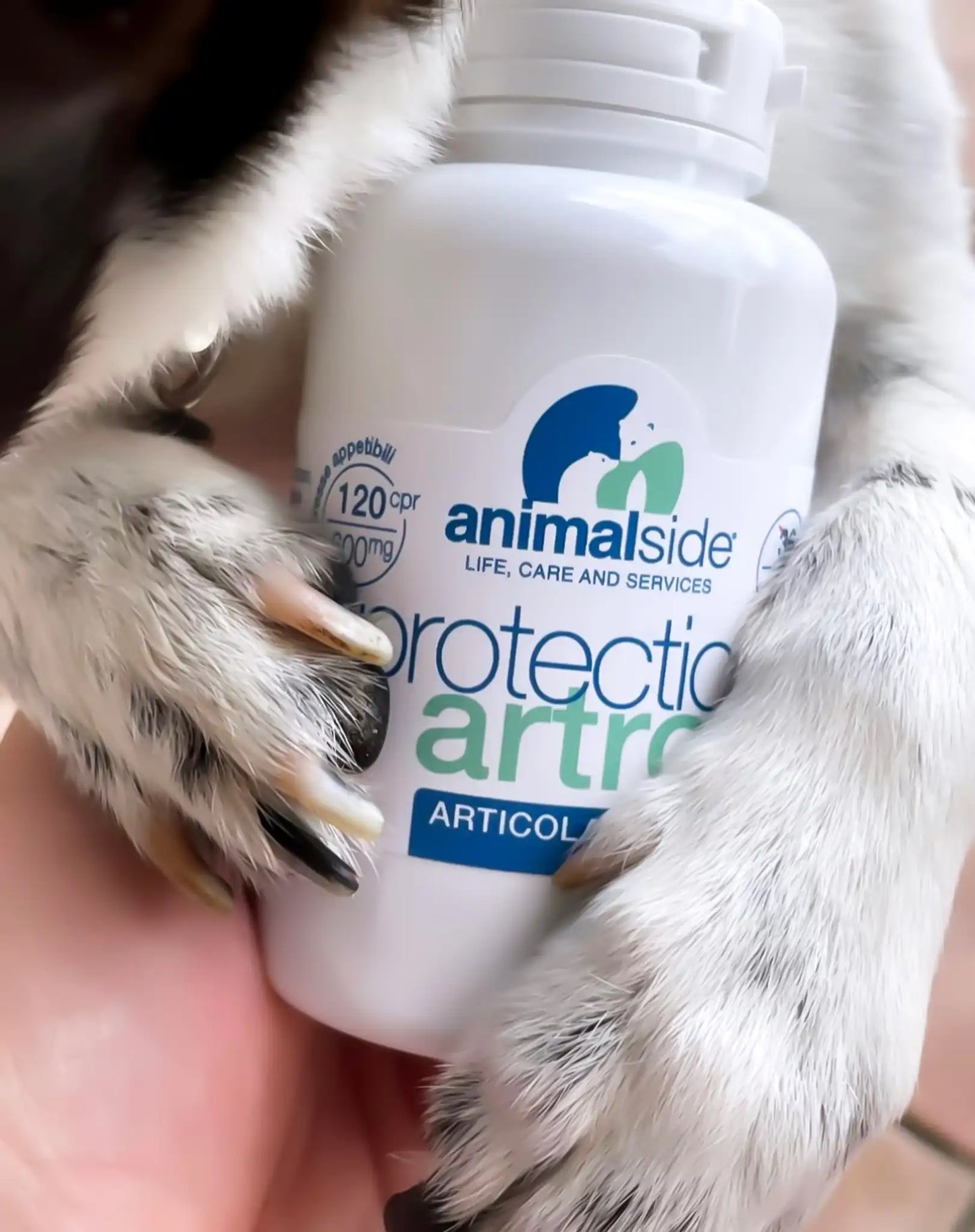 cliente recensione Animalside Protection Artro