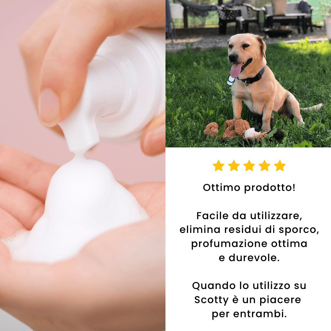 Recensione Foam Care schiuma igienizzante per cani e gatti Animalside