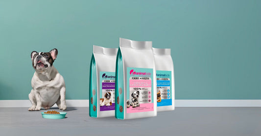 Alimentazione cane crocchette idrolizzate