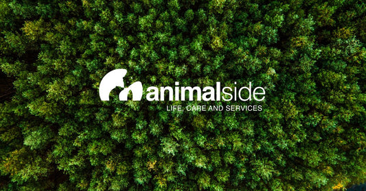 Logo animalside su sfondo foresta verde, prodotti benessere cane e gatto