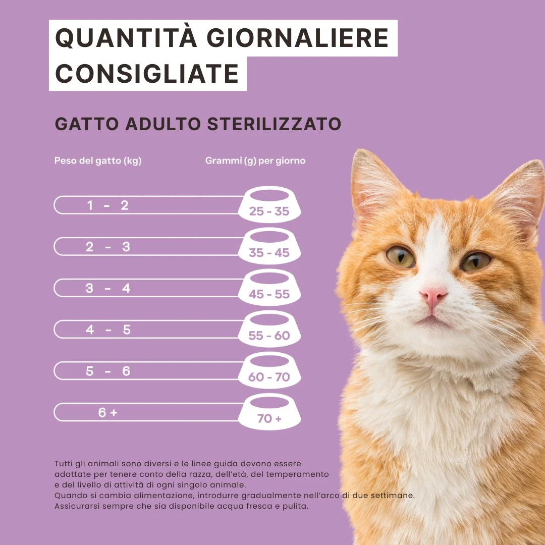 Quantità giornaliere consigliate per gatto adulto sterilizzato, tabella peso e grammi al giorno