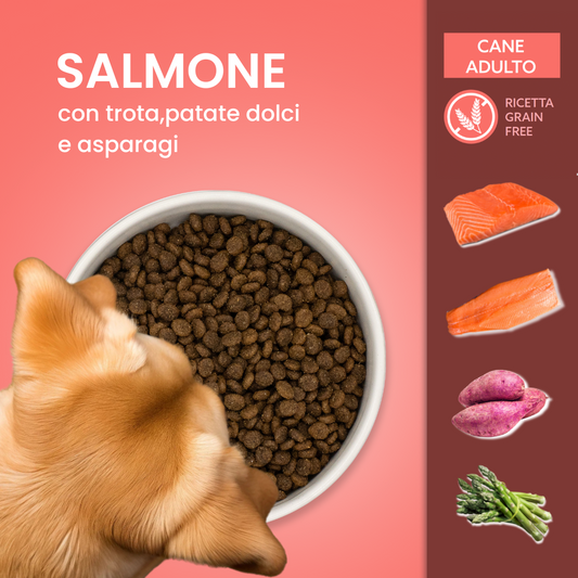 Linea Grain Free - Salmone con Trota, Patate Dolci e Asparagi - Cane Adulto