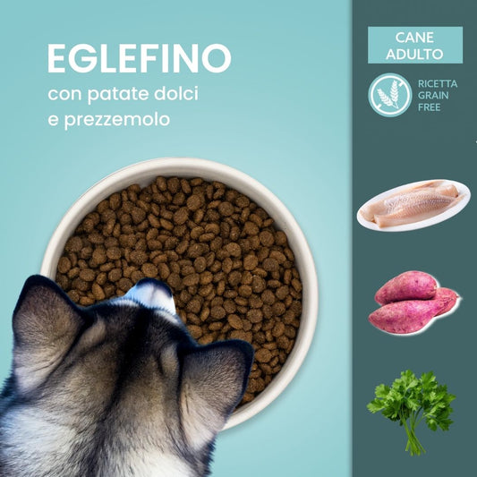 Ricetta senza cereali per cane adulto - Grain Free, Eglefino, patate dolci e prezzemolo