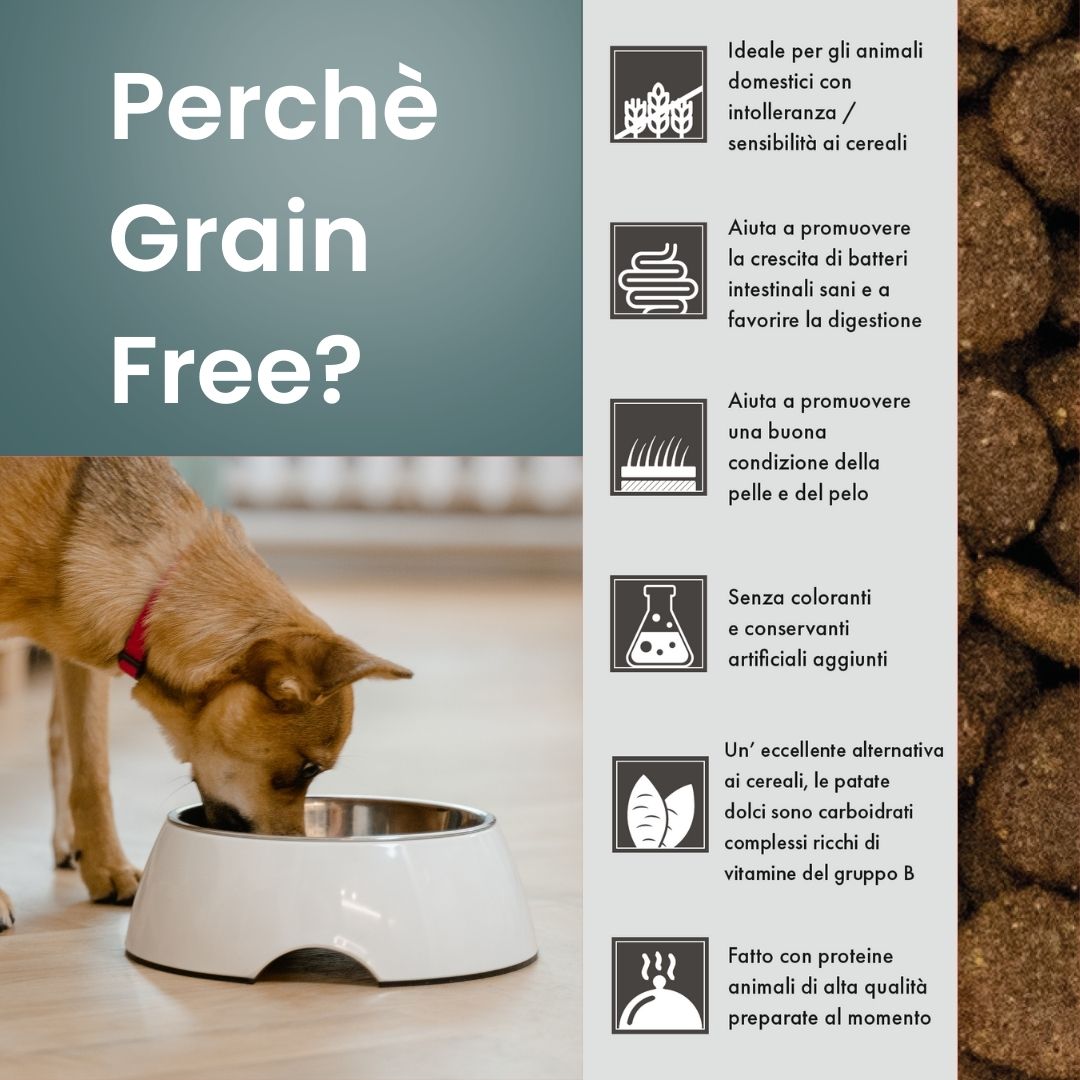 Crocchette per cani intolleranti ai cereali - Grain Free