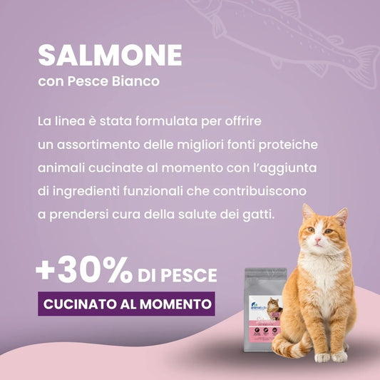 Linea Grain Free - Salmone con Pesce Bianco - Gatto Adulto Sterilizzato