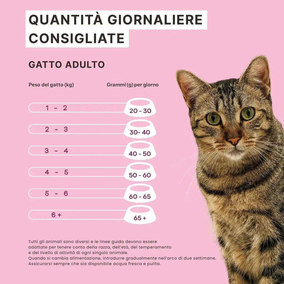 Crocchette Cute e Manto al Salmone - Gatto Adulto - Proteine idrolizzate - Boli di Pelo