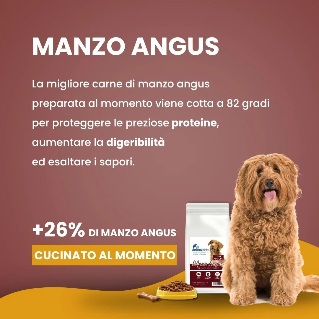 Linea Grain Free - Manzo Angus con Patate Dolci e Carote - Cane Adulto