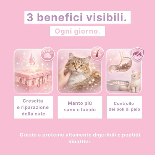 Crocchette Cute e Manto al Salmone - Gatto Adulto - Proteine idrolizzate - Boli di Pelo