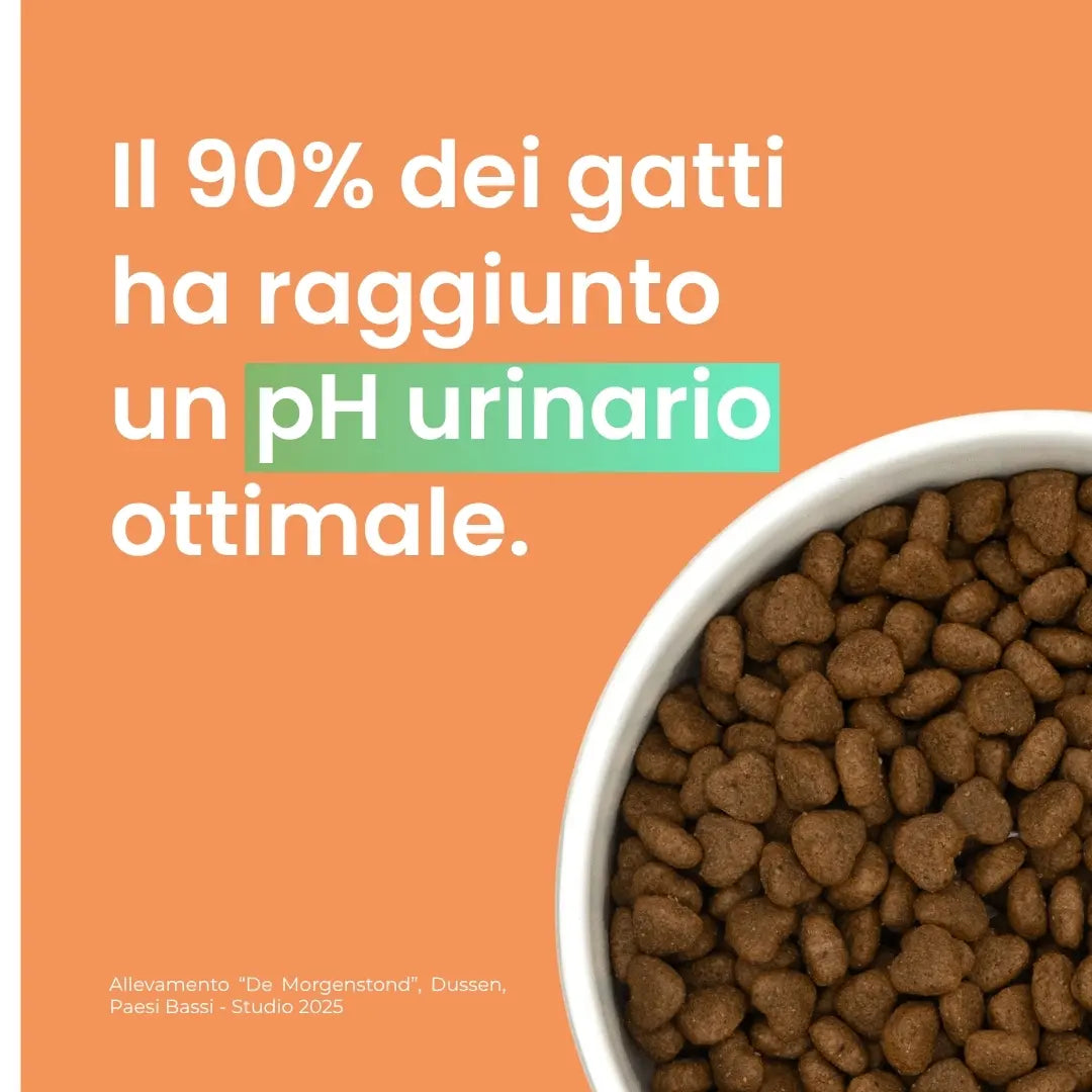 Crocchette Urinary al Pollo - Gatto Adulto Sterilizzato - Proteine idrolizzate - Vie Urinarie