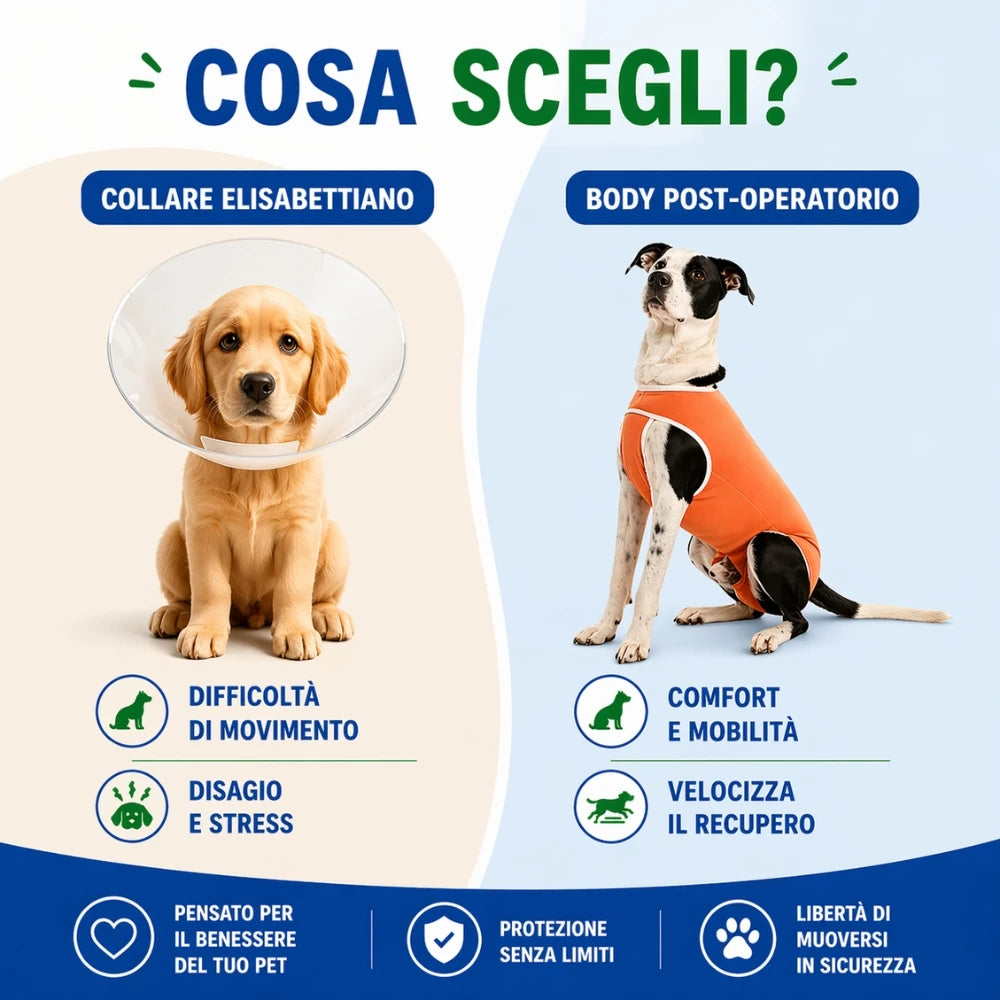 Alternativa al collare elisabetta senza stress